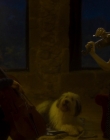 Filename=Blanche_Comme_Neige_mkv5224.jpg
Filesize=744KiB
Dimensions=1916x956
Date added=Jan 23, 2020 Blanche_Comme_Neige_mkv5224.jpg