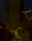 Filename=Blanche_Comme_Neige_mkv5227.jpg
Filesize=738KiB
Dimensions=1916x956
Date added=Jan 23, 2020 Blanche_Comme_Neige_mkv5227.jpg