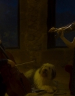 Filename=Blanche_Comme_Neige_mkv5228.jpg
Filesize=743KiB
Dimensions=1916x956
Date added=Jan 23, 2020 Blanche_Comme_Neige_mkv5228.jpg