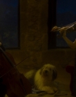 Filename=Blanche_Comme_Neige_mkv5229.jpg
Filesize=747KiB
Dimensions=1916x956
Date added=Jan 23, 2020 Blanche_Comme_Neige_mkv5229.jpg