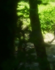 Filename=Blanche_Comme_Neige_mkv5506.jpg
Filesize=927KiB
Dimensions=1916x956
Date added=Jan 23, 2020 Blanche_Comme_Neige_mkv5506.jpg