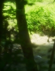 Filename=Blanche_Comme_Neige_mkv5507.jpg
Filesize=981KiB
Dimensions=1916x956
Date added=Jan 23, 2020 Blanche_Comme_Neige_mkv5507.jpg