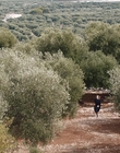 Filename=Where_Life_Begins_aka_Tu_choisiras_la_vie_mkv1728.jpg
Filesize=1336KiB
Dimensions=1920x800
Date added=Jul 20, 2023 Where_Life_Begins_aka_Tu_choisiras_la_vie_mkv1728.jpg