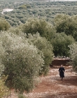 Filename=Where_Life_Begins_aka_Tu_choisiras_la_vie_mkv1729.jpg
Filesize=1267KiB
Dimensions=1920x800
Date added=Jul 20, 2023 Where_Life_Begins_aka_Tu_choisiras_la_vie_mkv1729.jpg