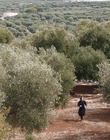 Filename=Where_Life_Begins_aka_Tu_choisiras_la_vie_mkv1730.jpg
Filesize=1293KiB
Dimensions=1920x800
Date added=Jul 20, 2023 Where_Life_Begins_aka_Tu_choisiras_la_vie_mkv1730.jpg