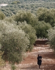 Filename=Where_Life_Begins_aka_Tu_choisiras_la_vie_mkv1732.jpg
Filesize=1373KiB
Dimensions=1920x800
Date added=Jul 20, 2023 Where_Life_Begins_aka_Tu_choisiras_la_vie_mkv1732.jpg