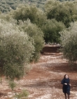 Filename=Where_Life_Begins_aka_Tu_choisiras_la_vie_mkv1734.jpg
Filesize=1319KiB
Dimensions=1920x800
Date added=Jul 20, 2023 Where_Life_Begins_aka_Tu_choisiras_la_vie_mkv1734.jpg