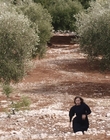 Filename=Where_Life_Begins_aka_Tu_choisiras_la_vie_mkv1737.jpg
Filesize=1273KiB
Dimensions=1920x800
Date added=Jul 20, 2023 Where_Life_Begins_aka_Tu_choisiras_la_vie_mkv1737.jpg