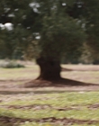 Filename=Where_Life_Begins_aka_Tu_choisiras_la_vie_mkv1750.jpg
Filesize=853KiB
Dimensions=1920x800
Date added=Jul 20, 2023 Where_Life_Begins_aka_Tu_choisiras_la_vie_mkv1750.jpg
