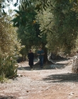 Filename=Where_Life_Begins_aka_Tu_choisiras_la_vie_mkv2012.jpg
Filesize=1397KiB
Dimensions=1920x800
Date added=Jul 20, 2023 Where_Life_Begins_aka_Tu_choisiras_la_vie_mkv2012.jpg