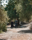 Filename=Where_Life_Begins_aka_Tu_choisiras_la_vie_mkv2013.jpg
Filesize=1386KiB
Dimensions=1920x800
Date added=Jul 20, 2023 Where_Life_Begins_aka_Tu_choisiras_la_vie_mkv2013.jpg