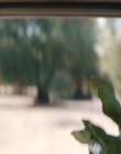 Filename=Where_Life_Begins_aka_Tu_choisiras_la_vie_mkv2082.jpg
Filesize=690KiB
Dimensions=1920x800
Date added=Jul 20, 2023 Where_Life_Begins_aka_Tu_choisiras_la_vie_mkv2082.jpg
