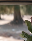 Filename=Where_Life_Begins_aka_Tu_choisiras_la_vie_mkv2089.jpg
Filesize=709KiB
Dimensions=1920x800
Date added=Jul 20, 2023 Where_Life_Begins_aka_Tu_choisiras_la_vie_mkv2089.jpg