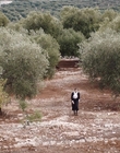 Filename=Where_Life_Begins_aka_Tu_choisiras_la_vie_mkv3187.jpg
Filesize=1261KiB
Dimensions=1920x800
Date added=Jul 20, 2023 Where_Life_Begins_aka_Tu_choisiras_la_vie_mkv3187.jpg