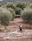 Filename=Where_Life_Begins_aka_Tu_choisiras_la_vie_mkv3188.jpg
Filesize=1278KiB
Dimensions=1920x800
Date added=Jul 20, 2023 Where_Life_Begins_aka_Tu_choisiras_la_vie_mkv3188.jpg