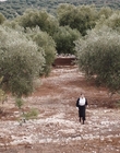 Filename=Where_Life_Begins_aka_Tu_choisiras_la_vie_mkv3189.jpg
Filesize=1273KiB
Dimensions=1920x800
Date added=Jul 20, 2023 Where_Life_Begins_aka_Tu_choisiras_la_vie_mkv3189.jpg