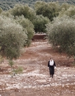 Filename=Where_Life_Begins_aka_Tu_choisiras_la_vie_mkv3190.jpg
Filesize=1257KiB
Dimensions=1920x800
Date added=Jul 20, 2023 Where_Life_Begins_aka_Tu_choisiras_la_vie_mkv3190.jpg