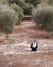 Filename=Where_Life_Begins_aka_Tu_choisiras_la_vie_mkv3194.jpg
Filesize=1281KiB
Dimensions=1920x800
Date added=Jul 20, 2023 Where_Life_Begins_aka_Tu_choisiras_la_vie_mkv3194.jpg