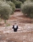 Filename=Where_Life_Begins_aka_Tu_choisiras_la_vie_mkv3196.jpg
Filesize=1291KiB
Dimensions=1920x800
Date added=Jul 20, 2023 Where_Life_Begins_aka_Tu_choisiras_la_vie_mkv3196.jpg
