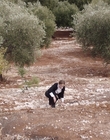 Filename=Where_Life_Begins_aka_Tu_choisiras_la_vie_mkv3197.jpg
Filesize=1275KiB
Dimensions=1920x800
Date added=Jul 20, 2023 Where_Life_Begins_aka_Tu_choisiras_la_vie_mkv3197.jpg