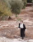 Filename=Where_Life_Begins_aka_Tu_choisiras_la_vie_mkv3200.jpg
Filesize=1160KiB
Dimensions=1920x800
Date added=Jul 20, 2023 Where_Life_Begins_aka_Tu_choisiras_la_vie_mkv3200.jpg