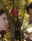 Filename=Where_Life_Begins_aka_Tu_choisiras_la_vie_mkv4952.jpg
Filesize=931KiB
Dimensions=1920x800
Date added=Jul 20, 2023 Where_Life_Begins_aka_Tu_choisiras_la_vie_mkv4952.jpg