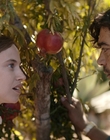 Filename=Where_Life_Begins_aka_Tu_choisiras_la_vie_mkv4953.jpg
Filesize=962KiB
Dimensions=1920x800
Date added=Jul 20, 2023 Where_Life_Begins_aka_Tu_choisiras_la_vie_mkv4953.jpg