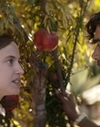 Filename=Where_Life_Begins_aka_Tu_choisiras_la_vie_mkv4964.jpg
Filesize=928KiB
Dimensions=1920x800
Date added=Jul 20, 2023 Where_Life_Begins_aka_Tu_choisiras_la_vie_mkv4964.jpg