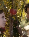 Filename=Where_Life_Begins_aka_Tu_choisiras_la_vie_mkv4966.jpg
Filesize=932KiB
Dimensions=1920x800
Date added=Jul 20, 2023 Where_Life_Begins_aka_Tu_choisiras_la_vie_mkv4966.jpg