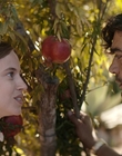 Filename=Where_Life_Begins_aka_Tu_choisiras_la_vie_mkv4967.jpg
Filesize=963KiB
Dimensions=1920x800
Date added=Jul 20, 2023 Where_Life_Begins_aka_Tu_choisiras_la_vie_mkv4967.jpg