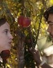 Filename=Where_Life_Begins_aka_Tu_choisiras_la_vie_mkv4968.jpg
Filesize=922KiB
Dimensions=1920x800
Date added=Jul 20, 2023 Where_Life_Begins_aka_Tu_choisiras_la_vie_mkv4968.jpg