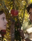 Filename=Where_Life_Begins_aka_Tu_choisiras_la_vie_mkv4974.jpg
Filesize=924KiB
Dimensions=1920x800
Date added=Jul 20, 2023 Where_Life_Begins_aka_Tu_choisiras_la_vie_mkv4974.jpg