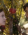 Filename=Where_Life_Begins_aka_Tu_choisiras_la_vie_mkv4975.jpg
Filesize=961KiB
Dimensions=1920x800
Date added=Jul 20, 2023 Where_Life_Begins_aka_Tu_choisiras_la_vie_mkv4975.jpg