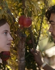 Filename=Where_Life_Begins_aka_Tu_choisiras_la_vie_mkv4977.jpg
Filesize=960KiB
Dimensions=1920x800
Date added=Jul 20, 2023 Where_Life_Begins_aka_Tu_choisiras_la_vie_mkv4977.jpg