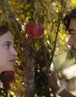 Filename=Where_Life_Begins_aka_Tu_choisiras_la_vie_mkv4979.jpg
Filesize=937KiB
Dimensions=1920x800
Date added=Jul 20, 2023 Where_Life_Begins_aka_Tu_choisiras_la_vie_mkv4979.jpg