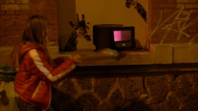 2013_-_Puma_Social_mp40837.jpg