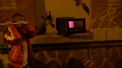 2013_-_Puma_Social_mp40838.jpg