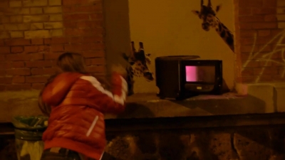 2013_-_Puma_Social_mp40839.jpg