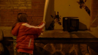 2013_-_Puma_Social_mp40840.jpg